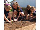 4 girls in a school gardenjpg